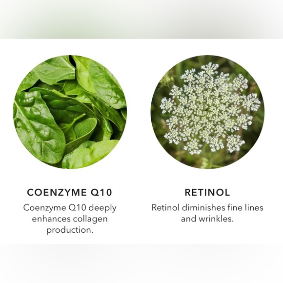 NWT 100% Pure Multi-Vitamin + Antioxidants Potent PM Serum - Picture 3 of 12